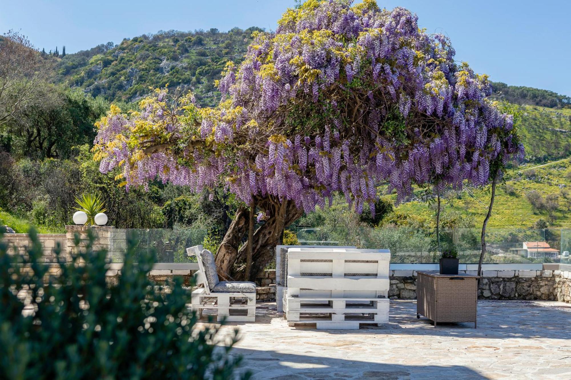 Alisachni Apartments Apraos Bagian luar foto